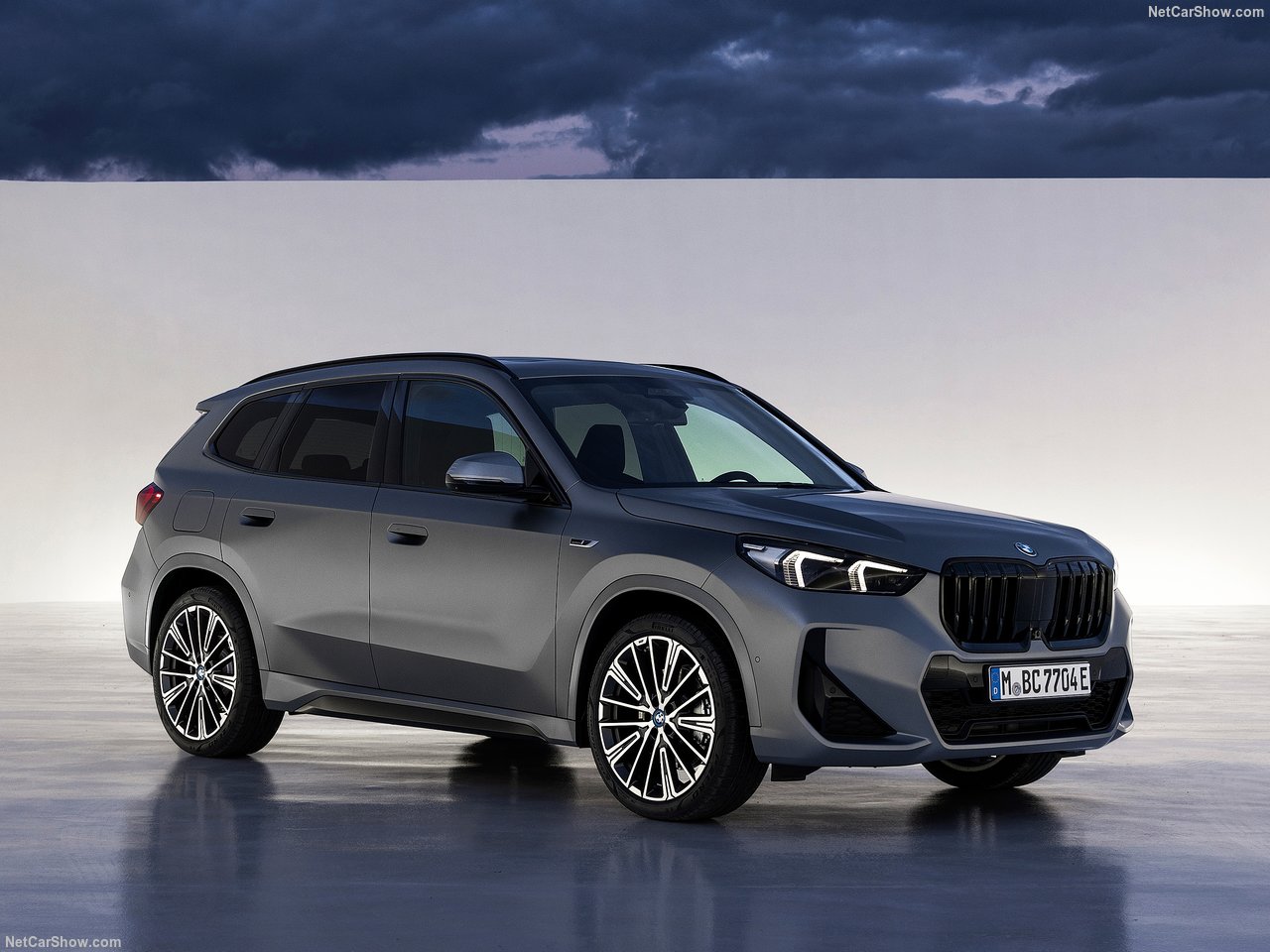 Szary BMW X1 na tle pochmurnego nieba.