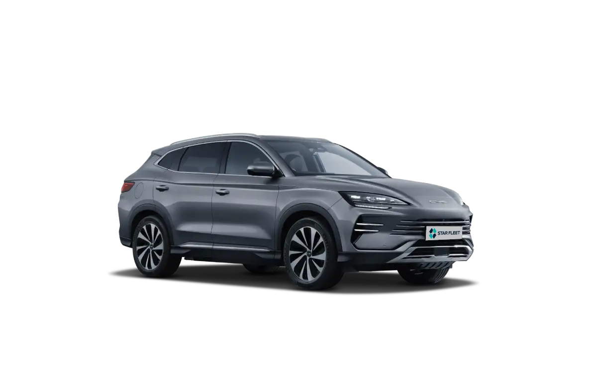 BYD główa
